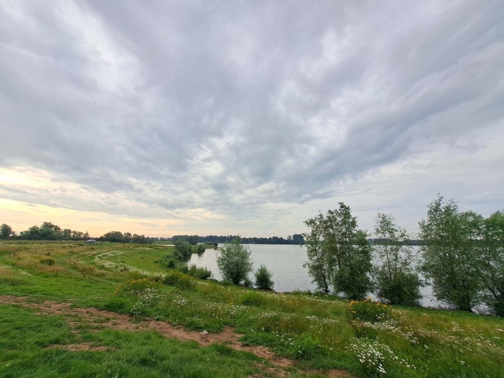 Omgeving camping aan de Rijn