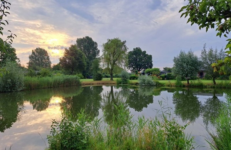 Camping in de betuwe met visvijver