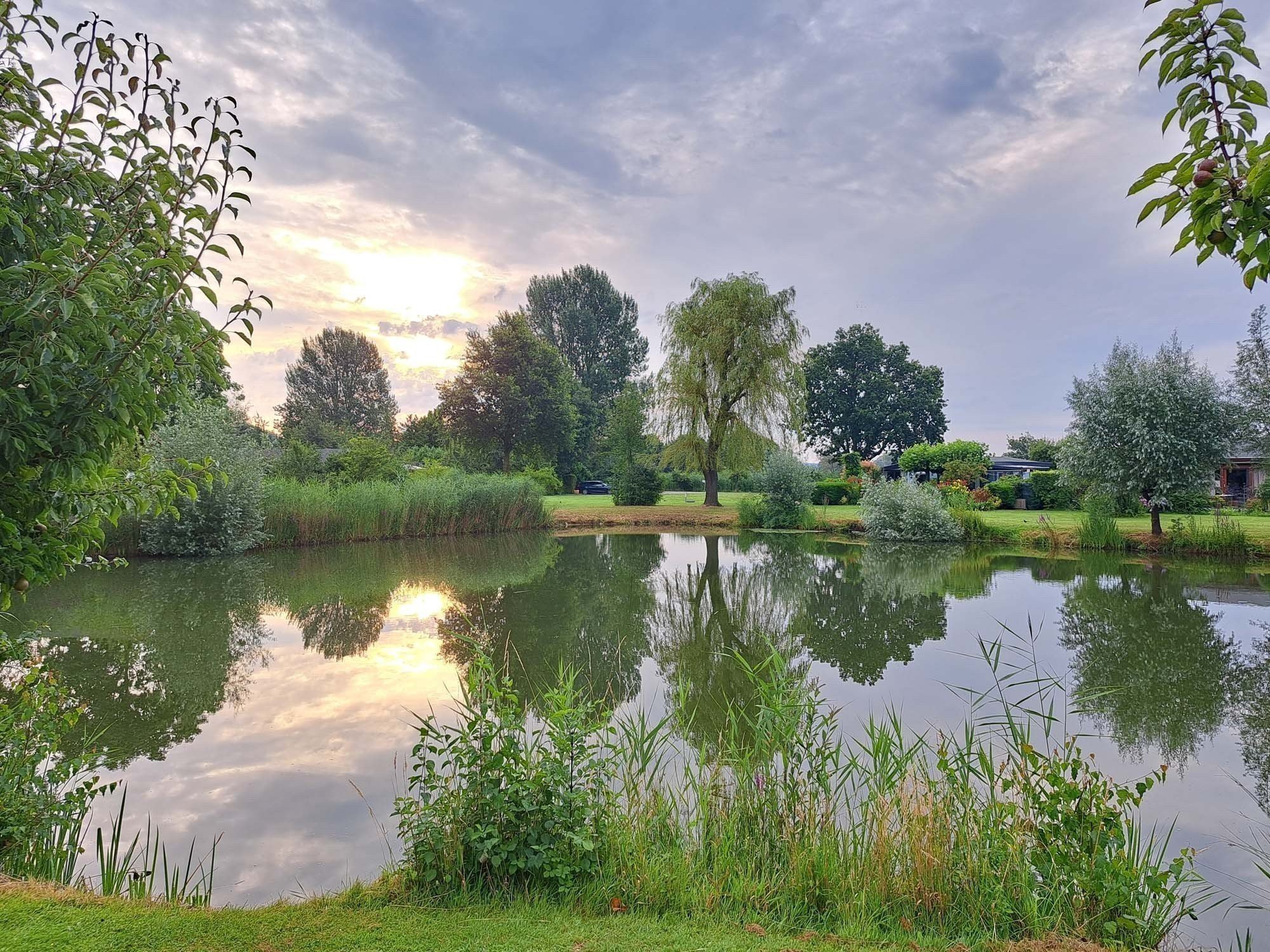 Camping met visvijver