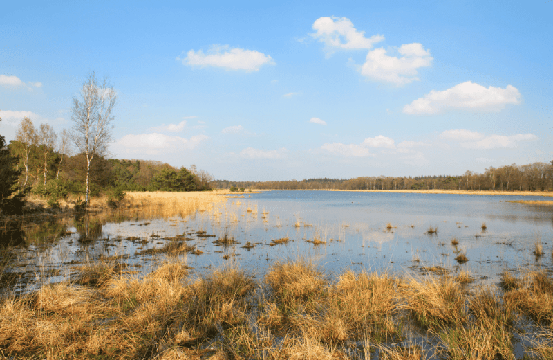 De Leersumse  Plassen