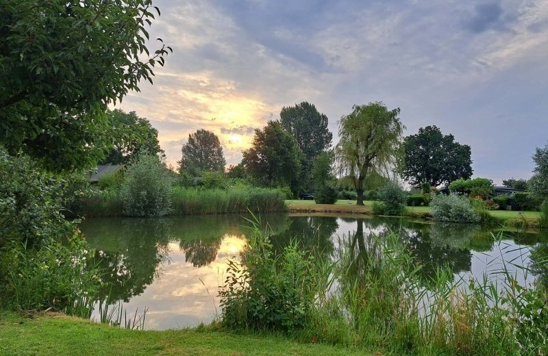 Visvijver camping bij lienden